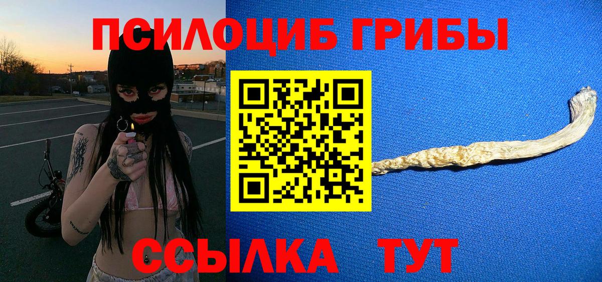 купить   Вход с VPN  Галлюциногенные грибы GOLDEN TEACHER  Усть-Джегута  Галлюциногенные грибы ЛСД 